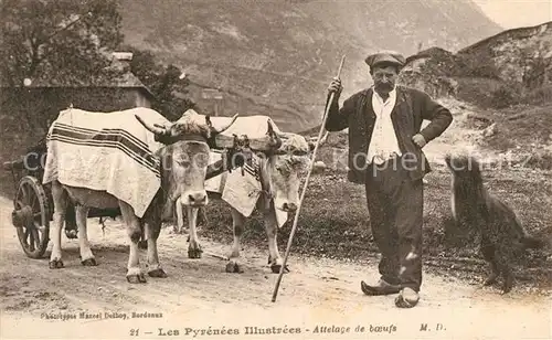 AK / Ansichtskarte Landwirtschaft Pyrenees Attelage de Boeufs 