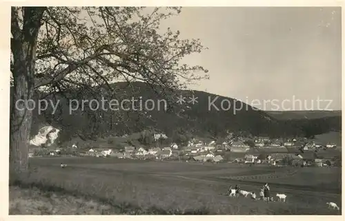 AK / Ansichtskarte Berndorf_Niederoesterreich Landschaftspanorama Berndorf