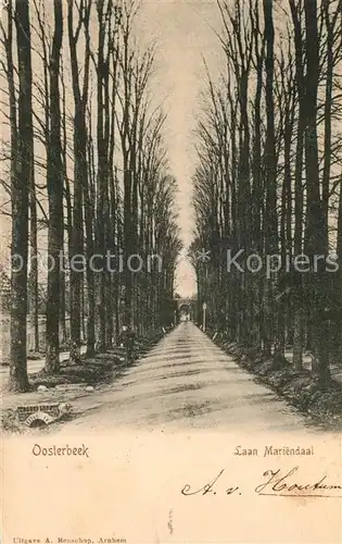 AK / Ansichtskarte Oosterbeek Laan Mariendaal Oosterbeek