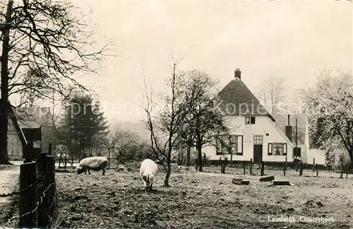 AK / Ansichtskarte Oosterbeek Landelijk Oosterbeek