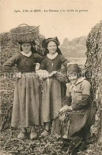 AK / Ansichtskarte Ile de Sein Les Illiennes a la recolte au goemon Ile de Sein