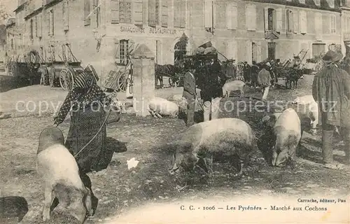 AK / Ansichtskarte Pyrenees_Region Marche aux Cochons Pyrenees Region