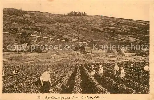 AK / Ansichtskarte Ay sur Moselle Les Coteaux Ay sur Moselle