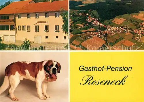 AK / Ansichtskarte Beeghof Gasthof Pension Roseneck Bernhardiner Fliegeraufnahme Beeghof