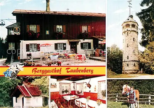 AK / Ansichtskarte Weyarn Berggasthof Taubenberg Pferd Aussichtsturm Weyarn