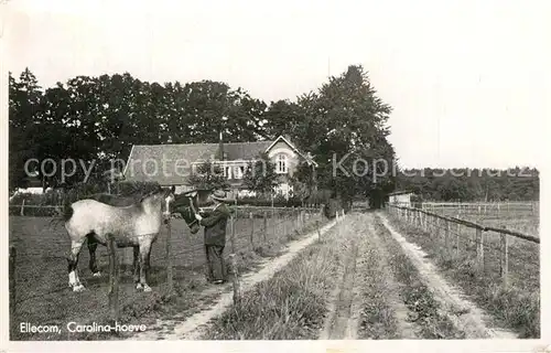 AK / Ansichtskarte Ellecom Carolina hoeve Ellecom