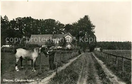 AK / Ansichtskarte Ellecom Carolina hoeve Ellecom
