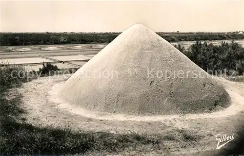 AK / Ansichtskarte Ile de Re Marais Salants Ile de Re