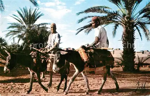 AK / Ansichtskarte Maroc_Marokko Palmeraie de Zagora Maroc Marokko