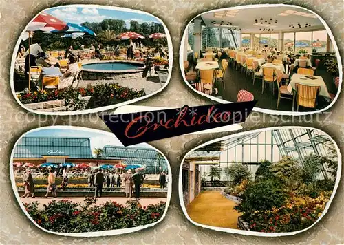 AK / Ansichtskarte Bruenninghausen Cafe Orchidee Wintergarten Terrasse Bruenninghausen