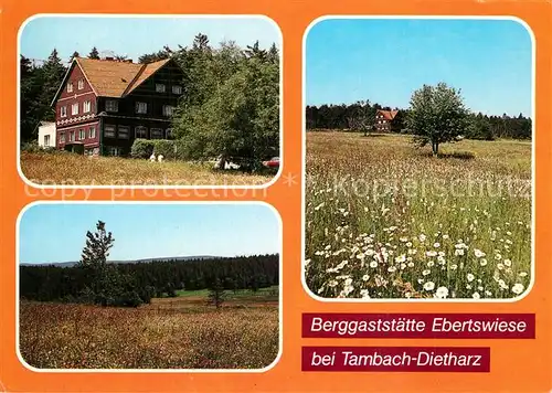AK / Ansichtskarte Tambach Dietharz Berggaststaette Ebertswiese Teilansichten Tambach Dietharz