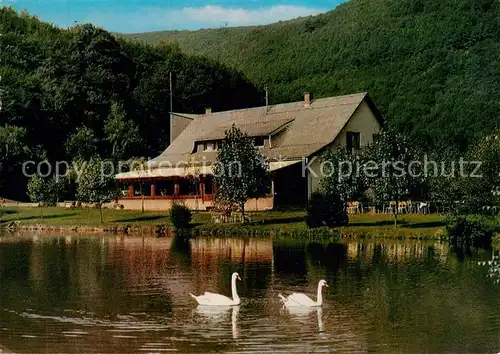 AK / Ansichtskarte Kirn_Nahe Hunsruecker Forellenhof Pension Reinhartsmuehle Teich Schwaene Kirn_Nahe