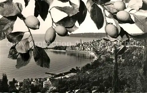 AK / Ansichtskarte Menton_Alpes_Maritimes Vue generale au fond Cap Martin Cote d Azur Menton_Alpes_Maritimes