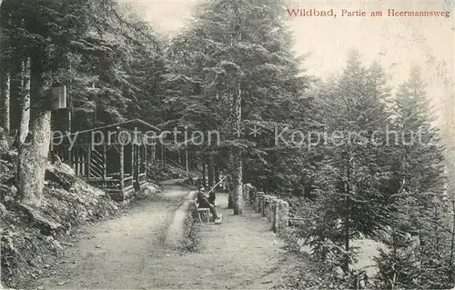 AK / Ansichtskarte Wildbad_Schwarzwald am Heermannsweg Wildbad_Schwarzwald