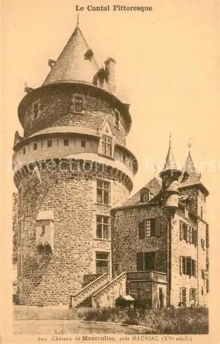 AK / Ansichtskarte Salins_Mauriac Chateau de Mazerolles  Salins Mauriac