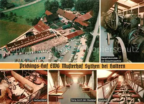 AK / Ansichtskarte Haltern_See Prickingshof EWG Musterhof Sythen Dampflokomobile mit Dreschmaschine Aufzuchtstall Maststall  Haltern See