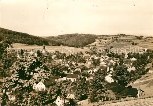 AK / Ansichtskarte Seiffen_Erzgebirge Panorama Seiffen Erzgebirge