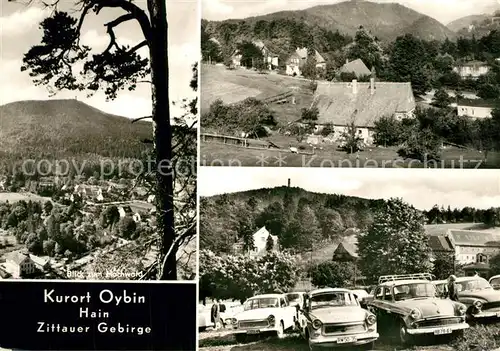 AK / Ansichtskarte Oybin Hain Zittauer Gebirge Oybin
