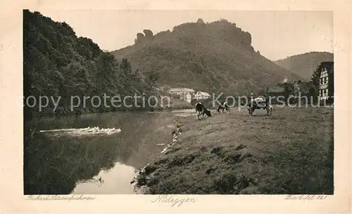 AK / Ansichtskarte Nideggen_Eifel K?he am Bach Nideggen Eifel