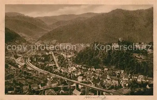 AK / Ansichtskarte Hornberg_Schwarzwald Fliegeraufnahme Hornberg Schwarzwald