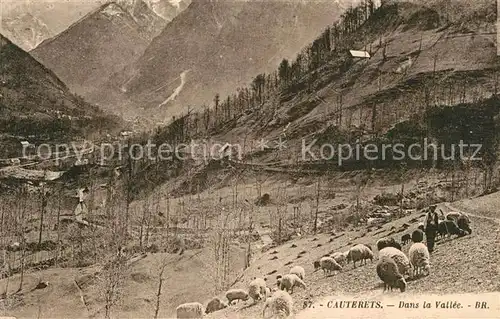 AK / Ansichtskarte Cauterets Dans la Vall Cauterets