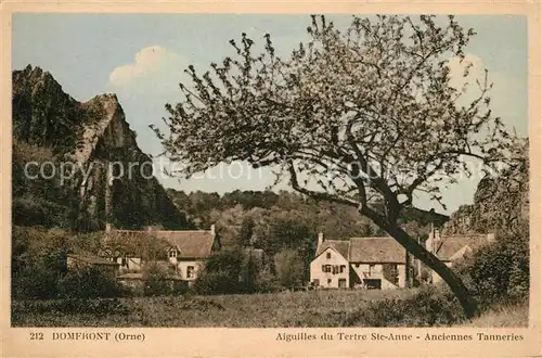 AK / Ansichtskarte Domfront_Orne Aiguilles du Tertre Ste Anne Tanneries Domfront Orne