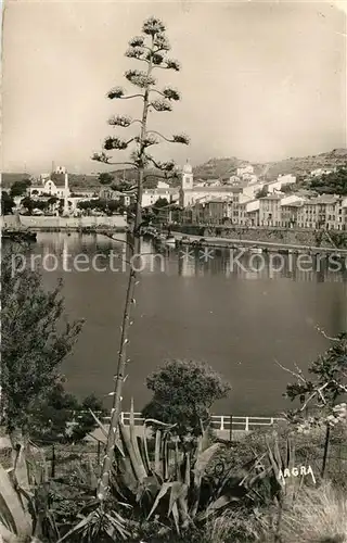 AK / Ansichtskarte Port Vendres Le Port Port Vendres