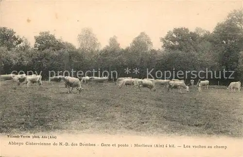 AK / Ansichtskarte Marlieux Abbaye Cistercienne de ND des Dombes Les vaches au champ Marlieux