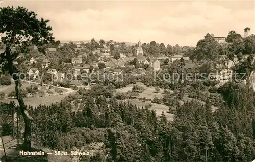 AK / Ansichtskarte Hohnstein_Saechsische_Schweiz Panorama Hohnstein_Saechsische