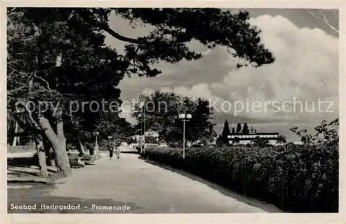 AK / Ansichtskarte Heringsdorf_Ostseebad_Usedom Promenade Heringsdorf_Ostseebad