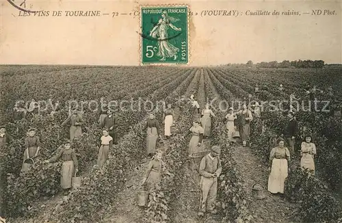 AK / Ansichtskarte Vouvray_Indre et Loire Les vins de Touraine Cucillette des raisins Vouvray Indre et Loire