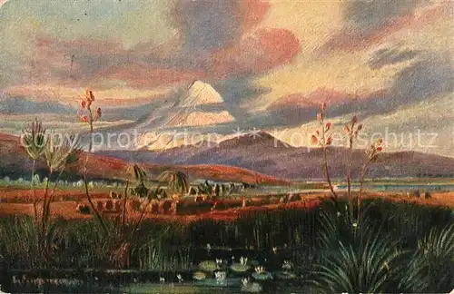 AK / Ansichtskarte Kilimanjaro_Kilimandscharo Panorama Kilimanjaro