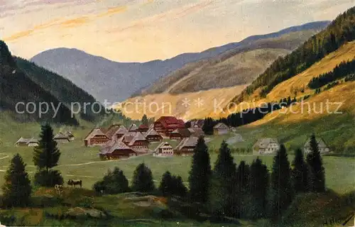 AK / Ansichtskarte Menzenschwand Panorama Menzenschwand