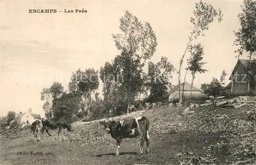 AK / Ansichtskarte Escamps_Lot Les Pres Escamps Lot