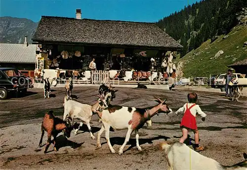 AK / Ansichtskarte Les_Lindarets Pays des chevres en liberte Les_Lindarets