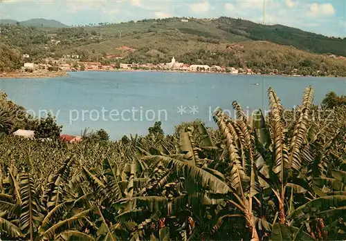 AK / Ansichtskarte Martinique View on the harbour and banana plantation Martinique