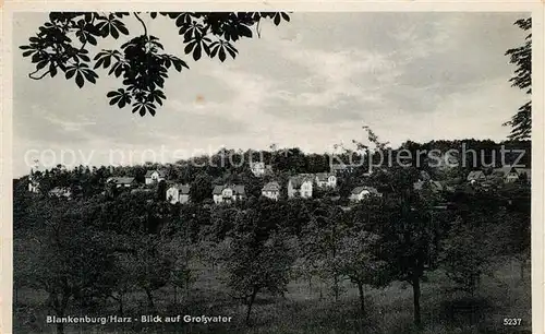 AK / Ansichtskarte Blankenburg_Harz Blick auf Grossvater Blankenburg_Harz
