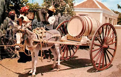 AK / Ansichtskarte Curacao_Niederlaendische_Antillen Water Vendor Wasserverkaeufer Eselkarren Lasttier Curacao_Niederlaendische