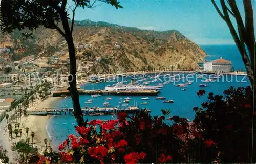 AK / Ansichtskarte Santa_Catalina_Island Panorama port and town of Avalon Santa_Catalina_Island