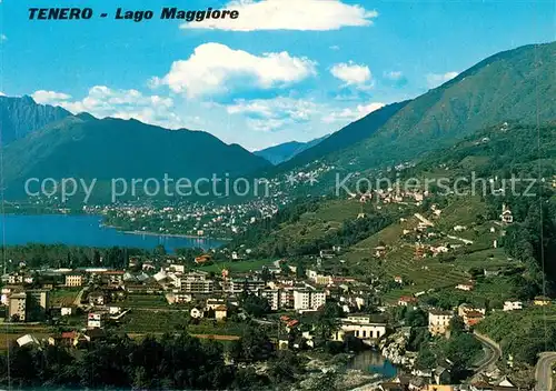 AK / Ansichtskarte Tenero Panorama Lago Maggiore Alpen Tenero