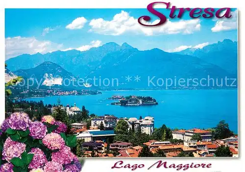 AK / Ansichtskarte Stresa_Lago_Maggiore Panorama Alpen Blumen Insel Stresa_Lago_Maggiore