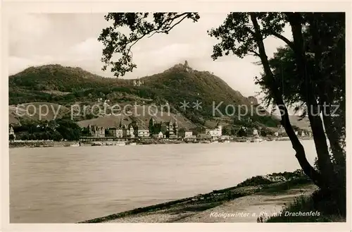 AK / Ansichtskarte Koenigswinter Uferweg am Rhein mit Blick zum Drachenfels Koenigswinter