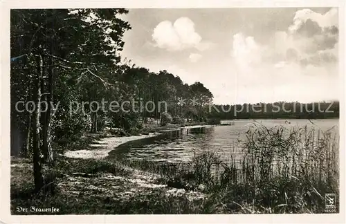 AK / Ansichtskarte Prieros Uferpartie am Frauensee Prieros