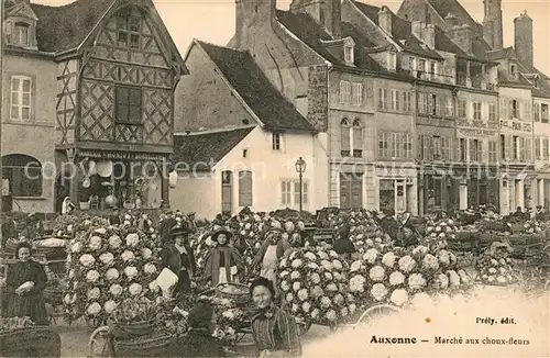 AK / Ansichtskarte Auxonne Marche aux choux fleurs Auxonne