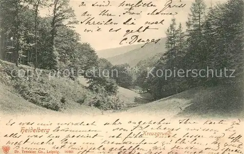 AK / Ansichtskarte Heidelberg_Neckar Landschaftspanorama Kreuzgrund Heidelberg Neckar