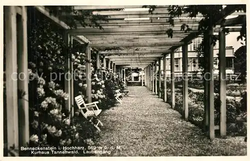 AK / Ansichtskarte Benneckenstein_Harz Kurhaus Tannenwald Laubengang Benneckenstein_Harz