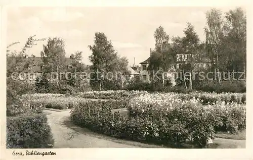 AK / Ansichtskarte Gera Dahliengarten Gera