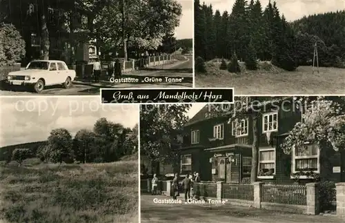 AK / Ansichtskarte Mandelholz_Harz Gaststaette Gruene Tanne Landschaftspanorama Mandelholz Harz