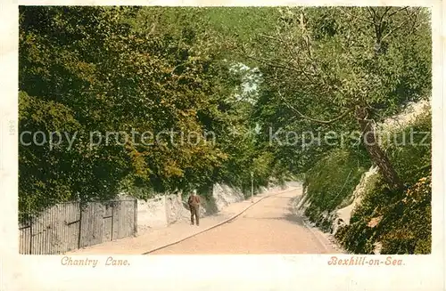 AK / Ansichtskarte Bexhill Chantry Lane Bexhill