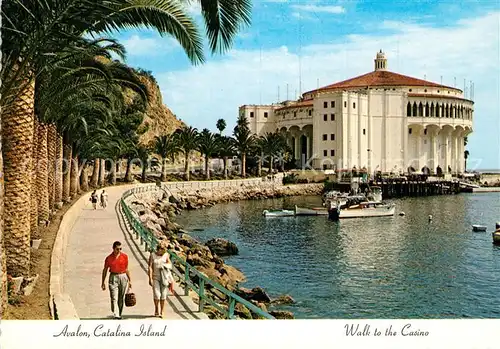 AK / Ansichtskarte Avalon_California Walk to the Casino 